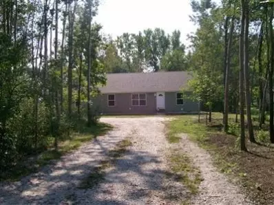 2087 E 1130, De Motte, IN 46310 photo 1