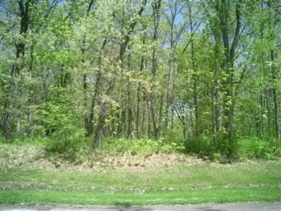 13233 Monroe Pl, Crown Point, IN 46307 photo 4