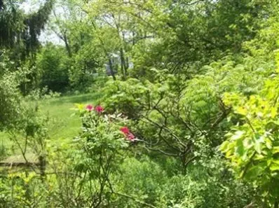 151 N Waverly Rd, Porter, IN 46304 photo 4