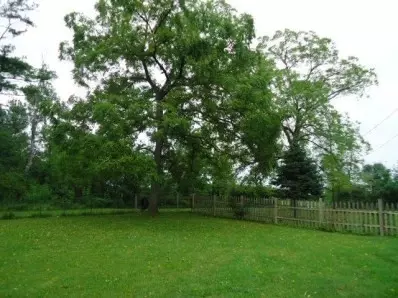 610 Hjelm Rd, Porter, IN 46304 photo 3