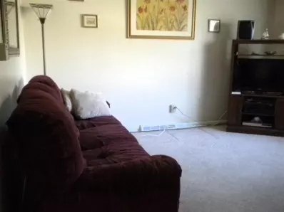933 Chase Dr, Crown Point, IN 46307 photo 3