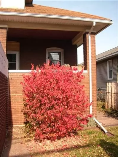 948 W 119th St, Whiting, IN 46394 photo 5