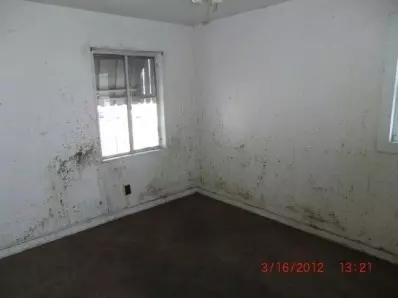 1047 W 25th Ave, Gary, IN 46407 photo 3