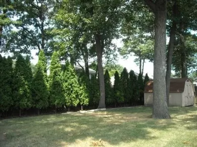 332 N True St, Griffith, IN 46319 photo 8