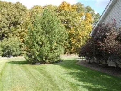 521 Austgen Pl, Dyer, IN 46311 photo 9