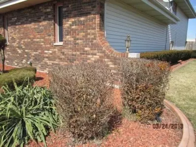 815 Old Beach Rd, Dyer, IN 46311 photo 3