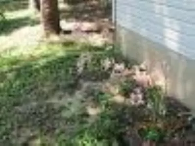 888 Krieger St, Porter, IN 46304 photo 7