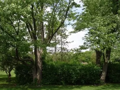 646 Davis Cir, Crown Point, IN 46307 photo 4