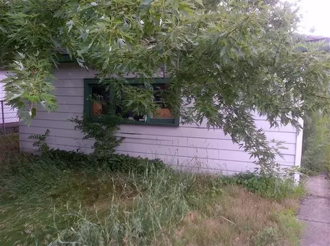 2135 Ohio, Gary, IN 46407 photo 3