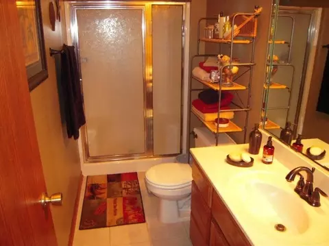 9571 Dover Ln, Saint John, IN 46373 photo 9