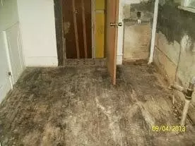 380 S Hamilton St, Gary, IN 46403 photo 4