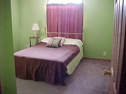 11784 N 308, De Motte, IN 46310 photo 7