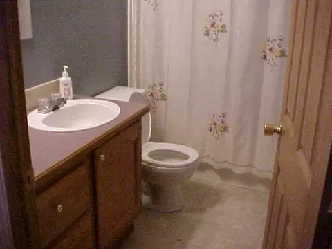 11784 N 308, De Motte, IN 46310 photo 5