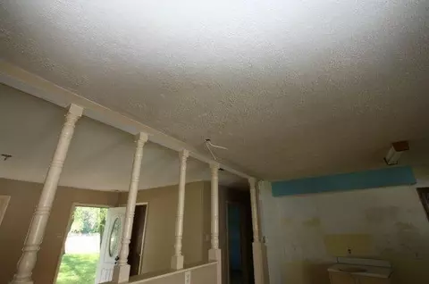 10436 N 500, De Motte, IN 46310 photo 9