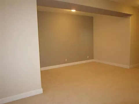4950 E 107th Ct, Crown Point, IN 46307 photo 23