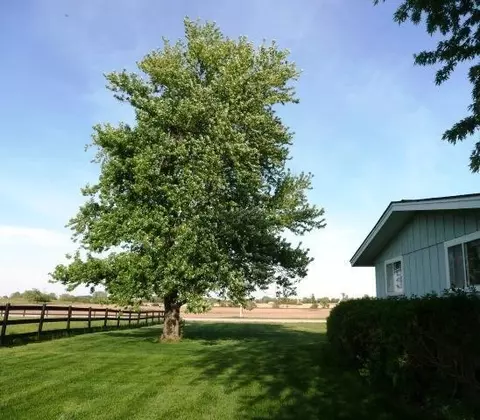 27256 S Will Center Rd, Monee, IL 60449 photo 16