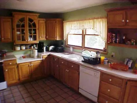 1021 E 40th Pl, Griffith, IN 46319 photo 4