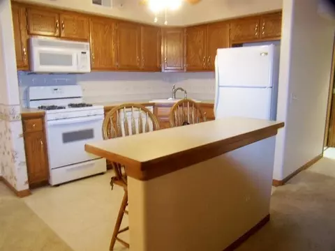 205 Swan Dr #1-A, Dyer, IN 46311 photo 7