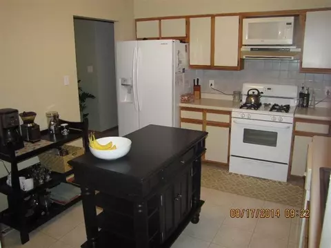 907 Harrison Pl, Dyer, IN 46311 photo 8