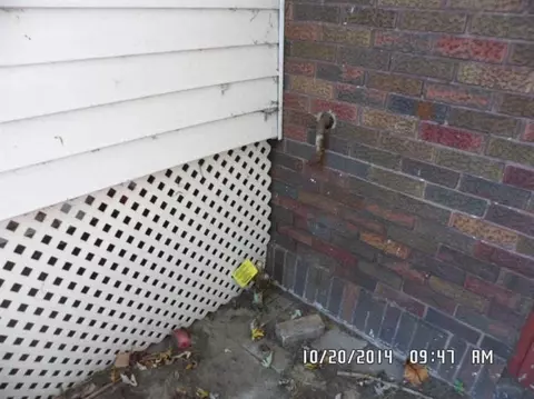 3641 Adams St, Gary, IN 46408 photo 5