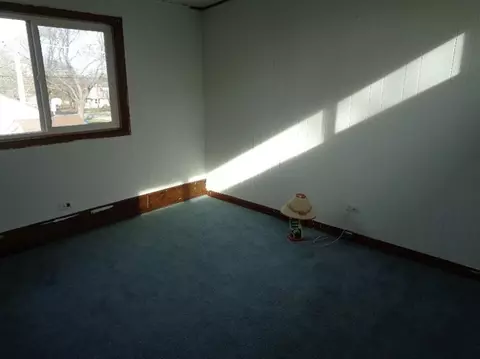 679 First St, Crete, IL 60417 photo 9