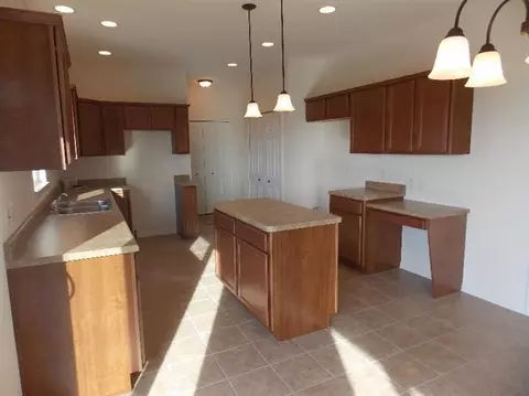 10422 Rolling Meadows Ln, Dyer, IN 46311 photo 3