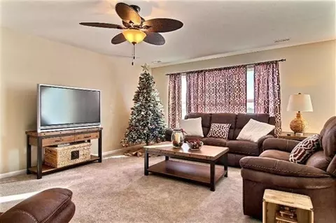 503 E 117th Pl, Crown Point, IN 46307 photo 10