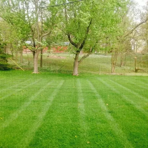7981 Rhode Ct, Dyer, IN 46311 photo 10