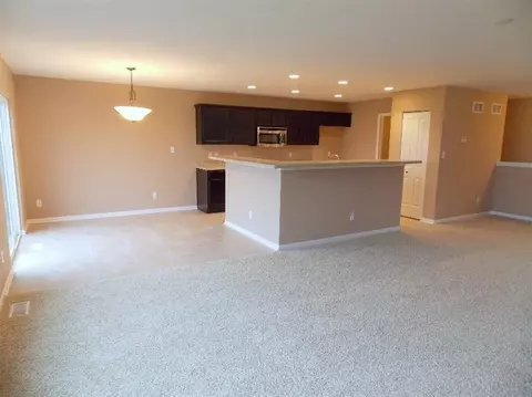 13702 River Birch Ct, Dyer, IN 46311 photo 6