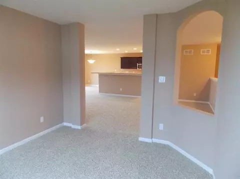 13702 River Birch Ct, Dyer, IN 46311 photo 10