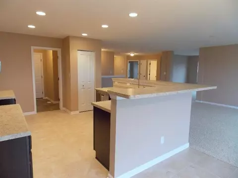 13702 River Birch Ct, Dyer, IN 46311 photo 5