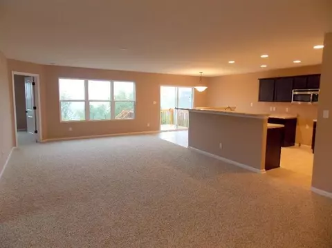 13702 River Birch Ct, Dyer, IN 46311 photo 9