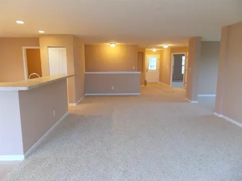 13702 River Birch Ct, Dyer, IN 46311 photo 7