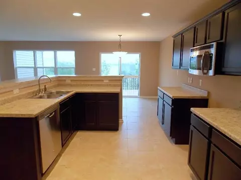 13702 River Birch Ct, Dyer, IN 46311 photo 3