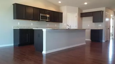 14753 Ivy St, Cedar Lake, IN 46303 photo 10