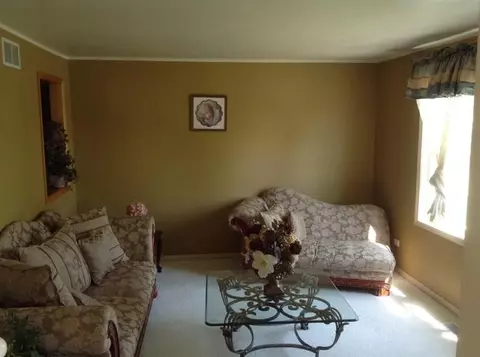 125 Eagle Ct, Dyer, IN 46311 photo 5