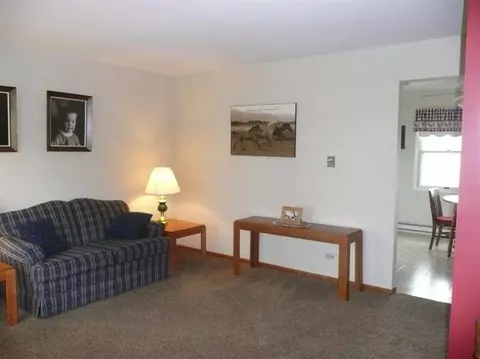 3325 E Indiana Ave, Beecher, IL 60401 photo 7
