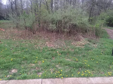 6101 Oak Valley Dr, Lowell, IN 46356 photo 2