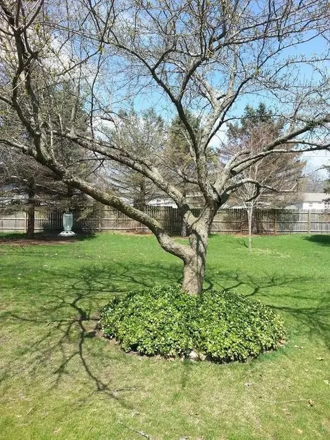 12359 E Stalbaum Ln, Wheatfield, IN 46392 photo 8