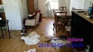 1530 Bigger St, Gary, IN 46404 photo 8