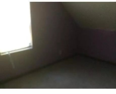 7237 W 23rd Ave, Gary, IN 46406 photo 5