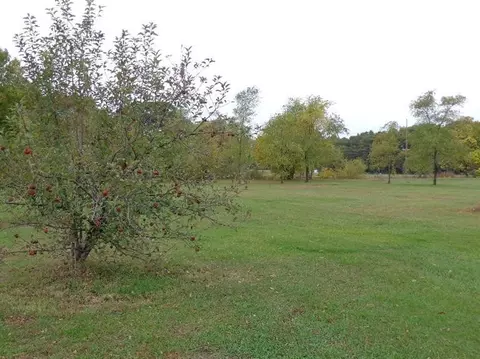 11932 N 457, De Motte, IN 46310 photo 10