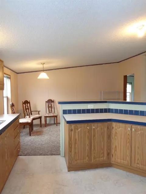 11932 N 457, De Motte, IN 46310 photo 4