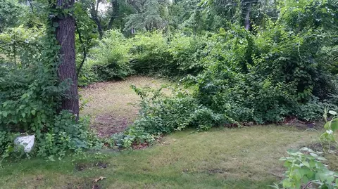 6115 Hemlock Ave, Gary, IN 46403 photo 4