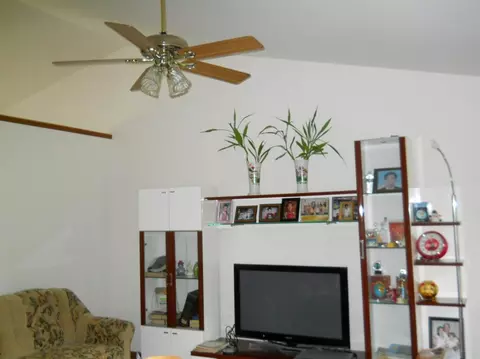 11634 N 557, De Motte, IN 46310 photo 3