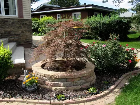 8114 Jackson Ave, Munster, IN 46321 photo 5