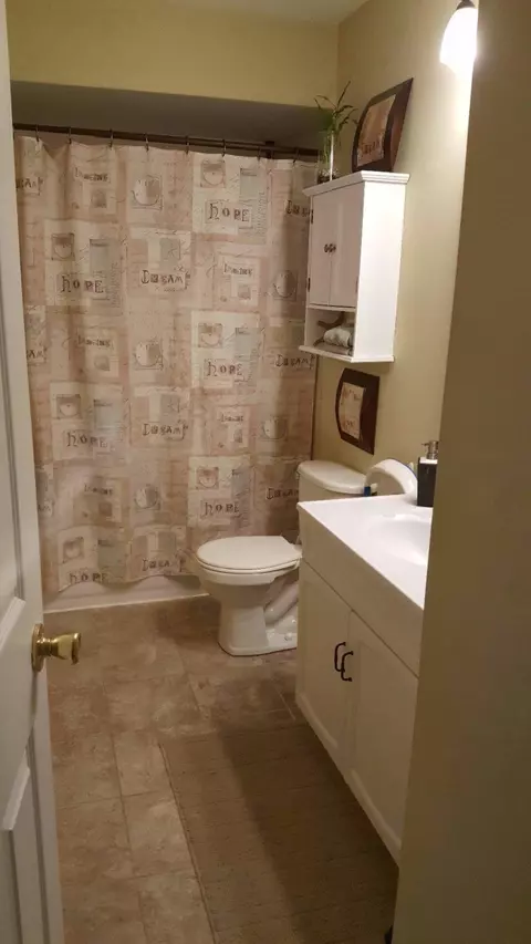 133 Concord Ct, Dyer, IN 46311 photo 9