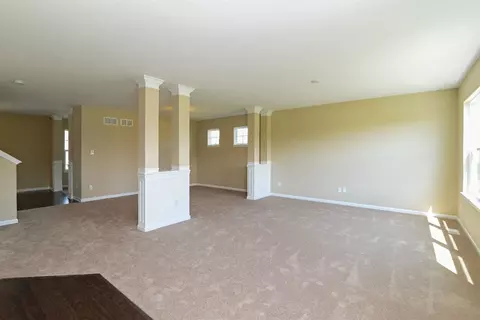 13781 W 105th Pl, Dyer, IN 46311 photo 4