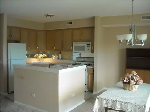 413 Swan Dr #3-D, Dyer, IN 46311 photo 5