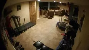 3524 Bernice Rd, Lansing, IL 60438 photo 8